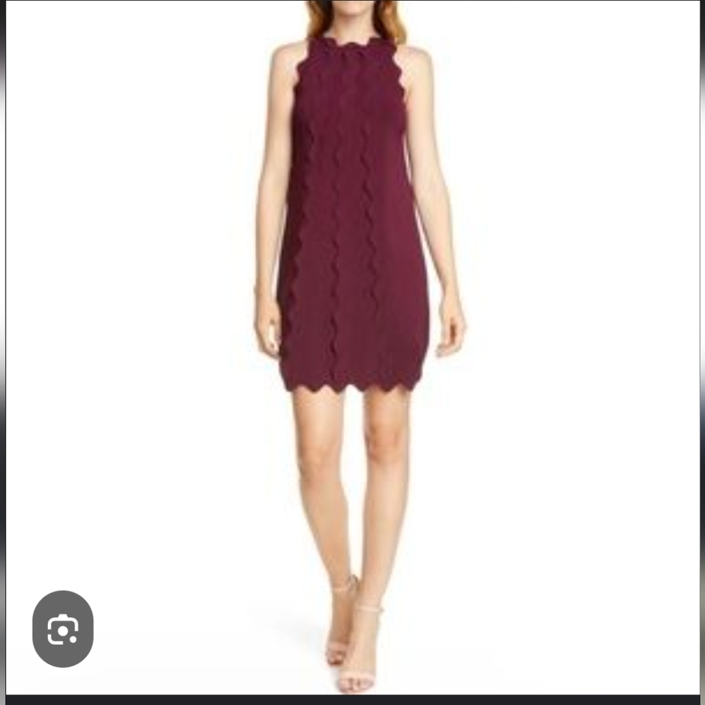 Ted Baker Dress